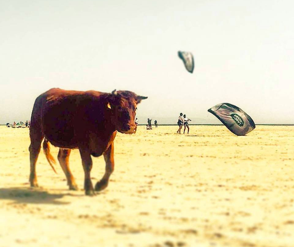 Kite Progress Tarifa-塔里法必去景点
