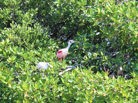 Tommy Nature Guide-图伦必去景点