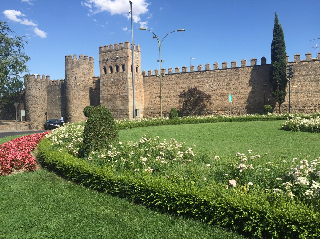 Muralla de Toledo景点图片