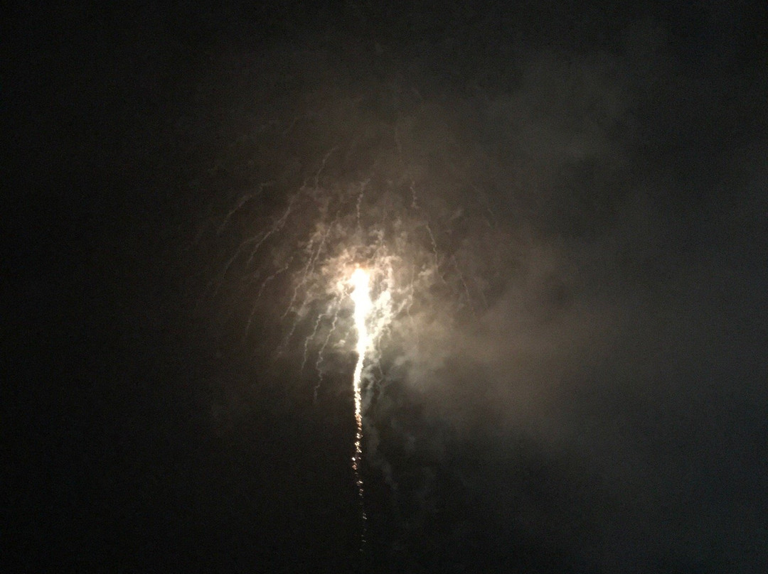 Yamanakako Fireworks Festival Hokosai景点图片
