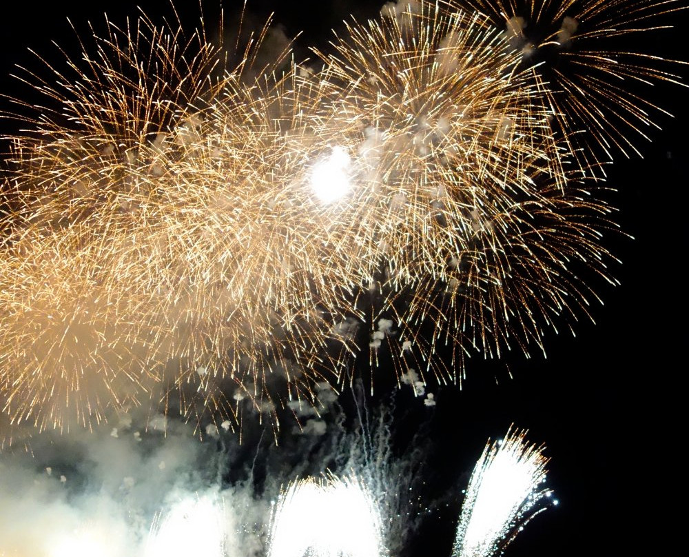 Oyama Fireworks-小山市必去景点
