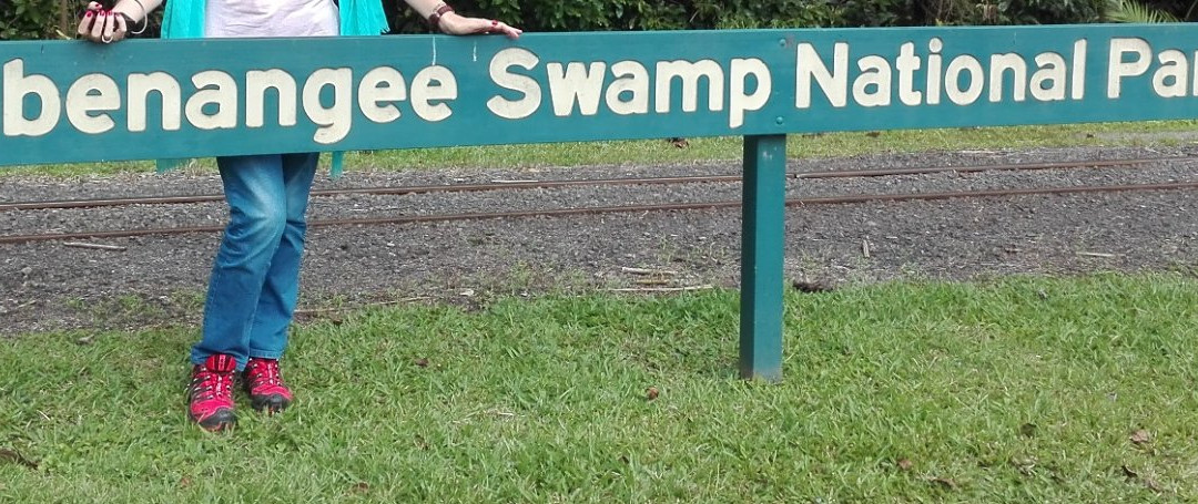 Eubenangee Swamp National Park-昆士兰必去景点