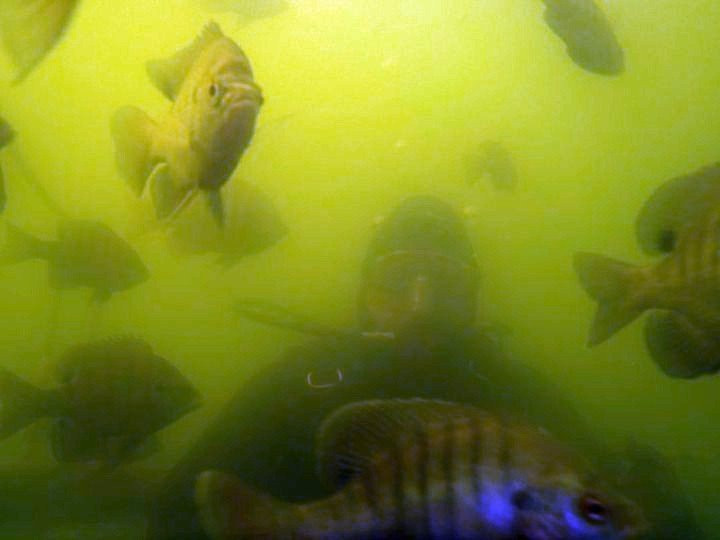 Scuba Oasis-Uvalde必去景点