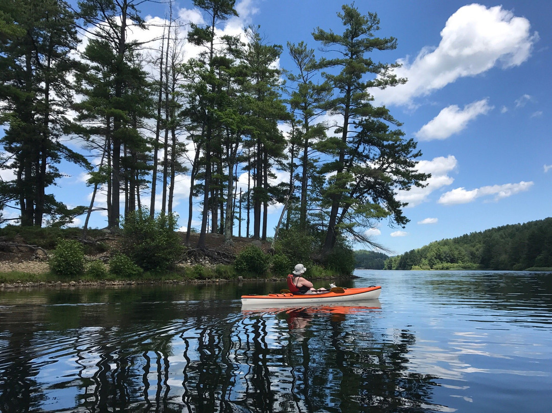 Collinsville Canoe & Kayak-Collinsville必去景点