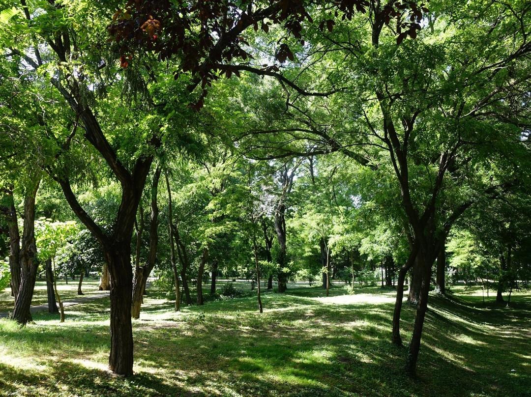 Cathedral Park景点图片