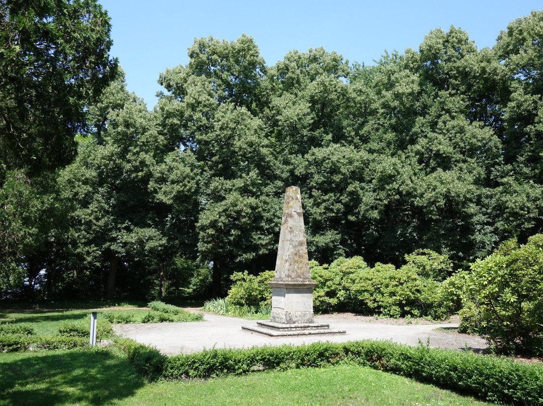 Schlosspark Schwanberg景点图片
