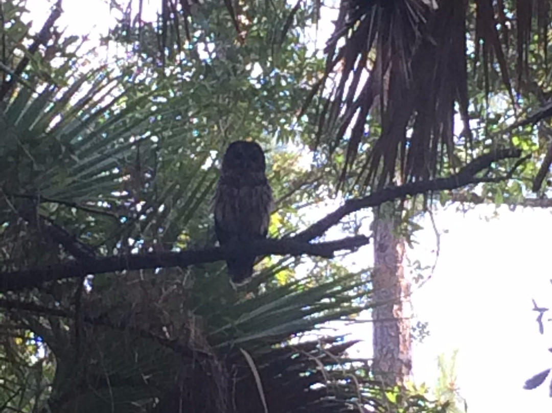 Oak Hammock Park-圣露西港必去景点