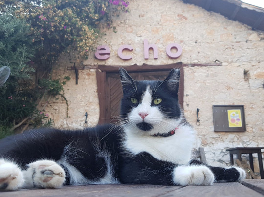 Echo Bar Kaş-卡斯必去景点