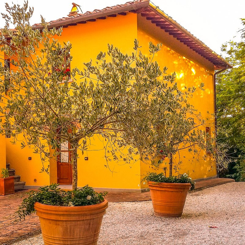 Podere Costalbagno La Culla