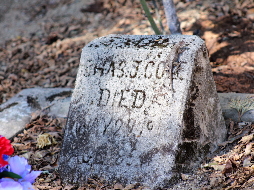 Historic Bridgeport Covered Bridge-Penn Valley必去景点