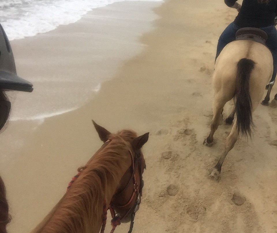 Ride the Beach Adventures-道格拉斯港必去景点