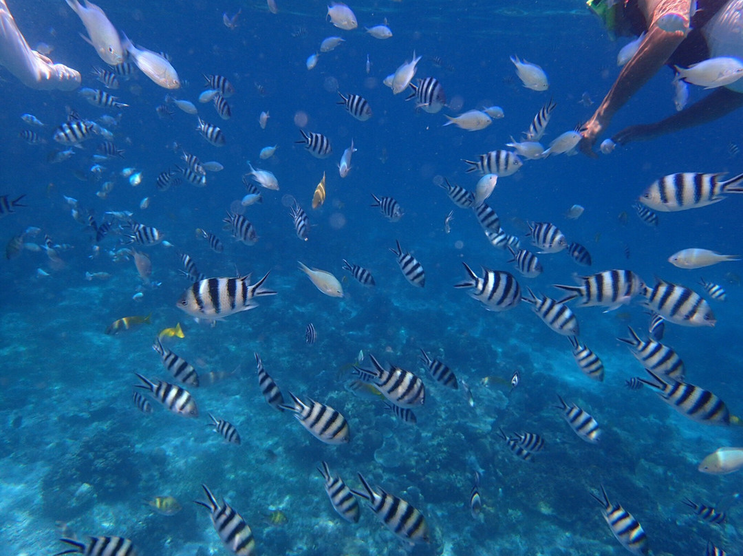 Gilutongan Island-宿雾必去景点