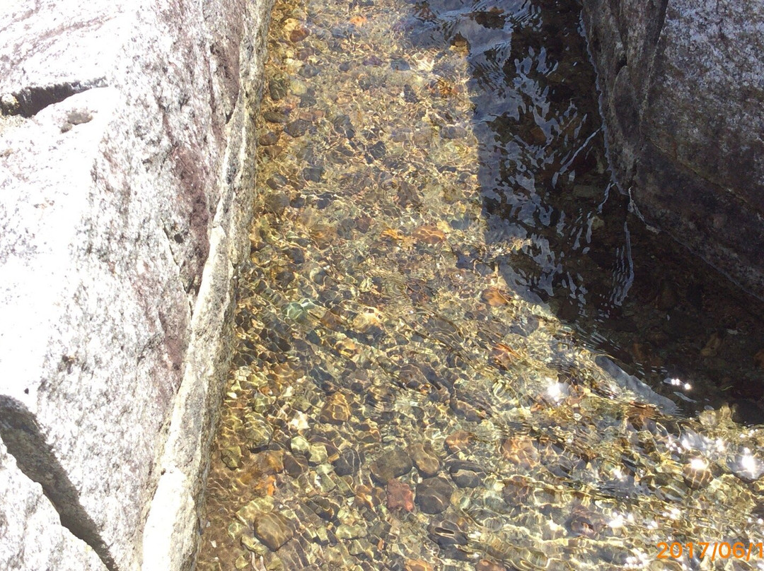 Michi-no-Eki Marmelo no Eki Nagato-长和町必去景点