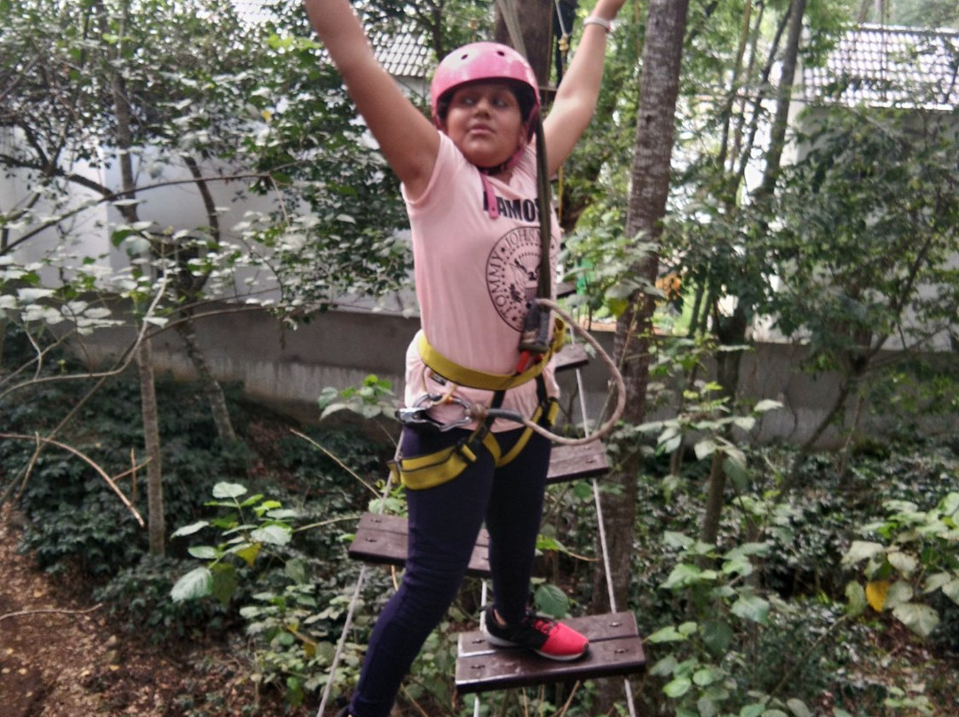 Grange TreeTop Adventure景点图片