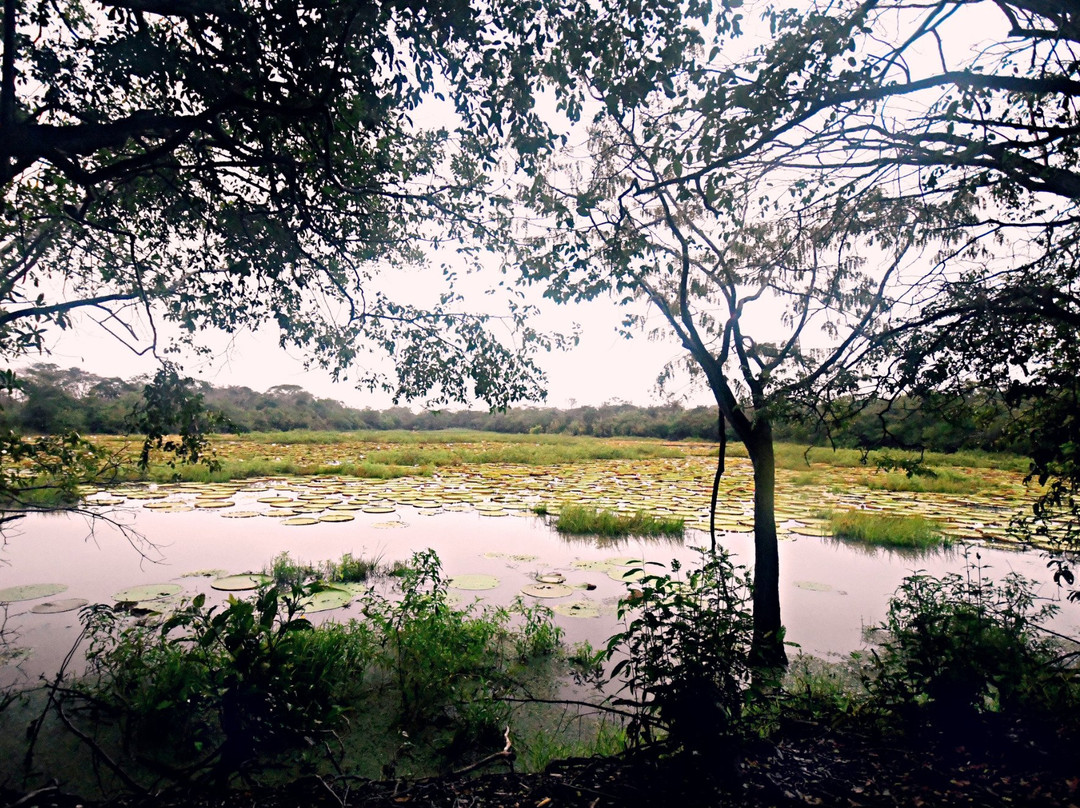Karanambu Lodge (Ranch)