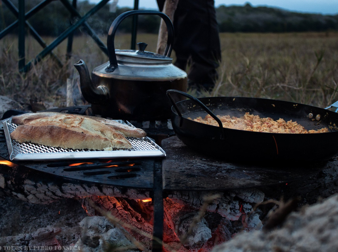 Mabeco Tours-马布多必去景点
