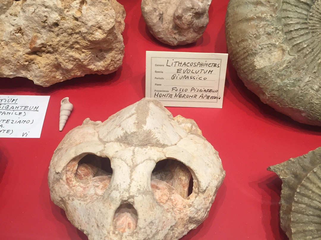 Palazzo Ubaldini-Apecchio必去景点