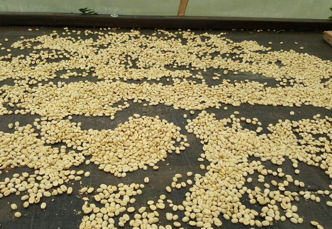 Cafe La Arzacia-萨伦托必去景点