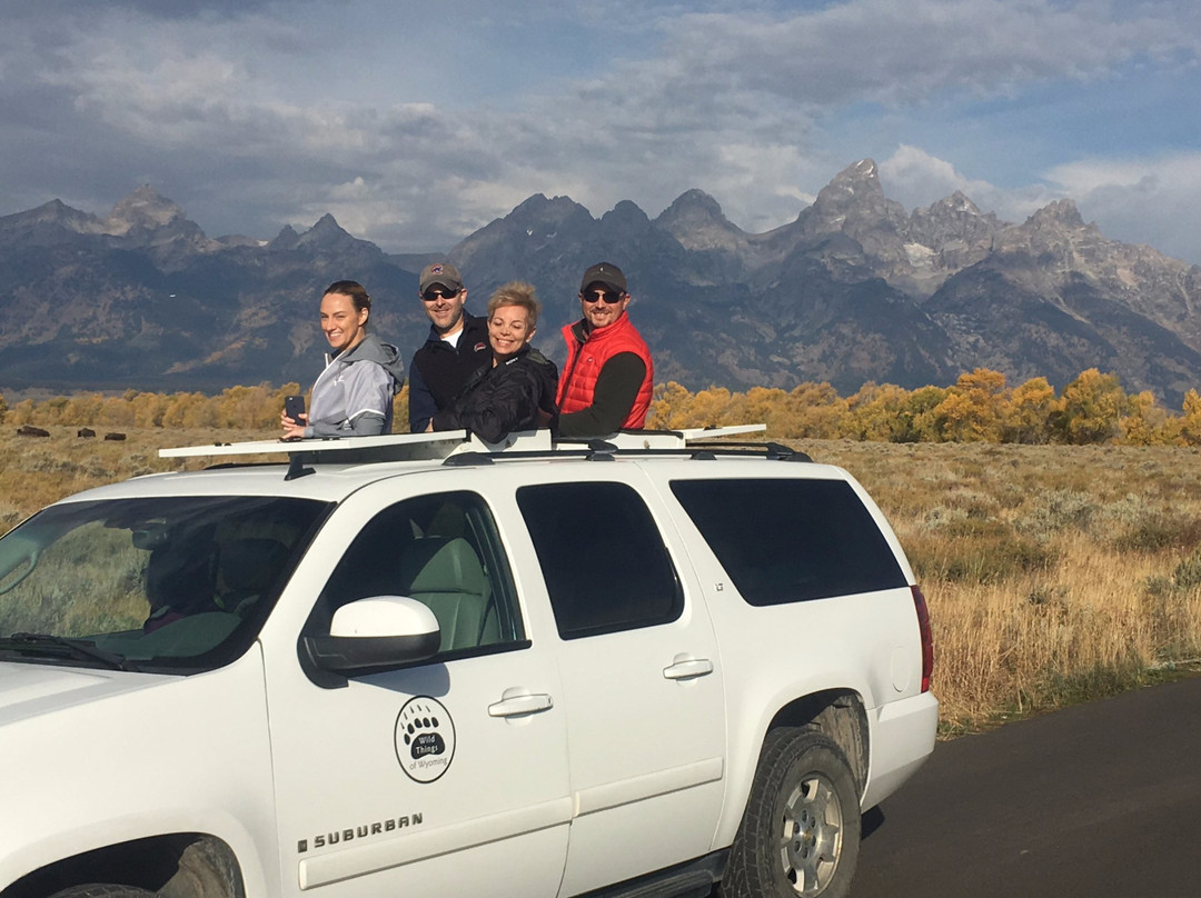 Wild Things of Wyoming-提顿村必去景点