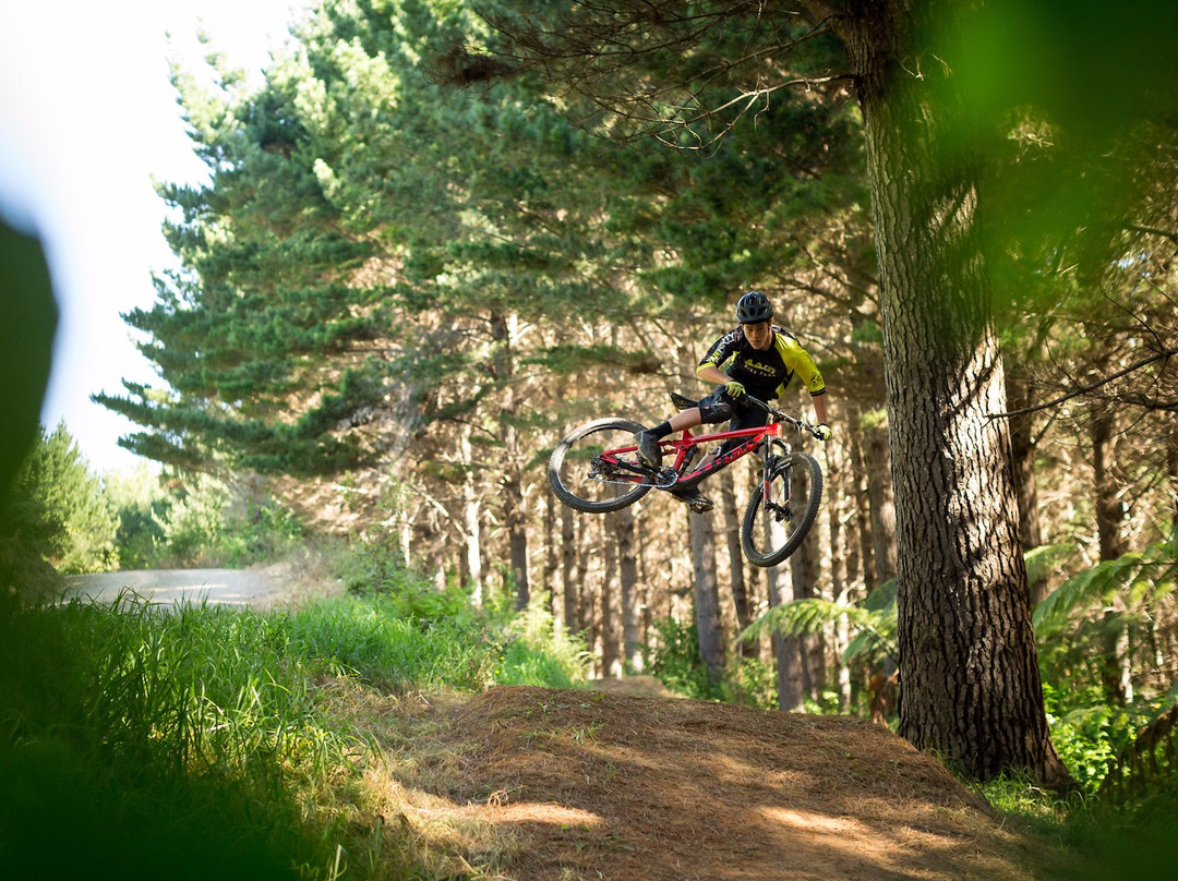 Fourforty Mountain Bike Park-Orere Point必去景点
