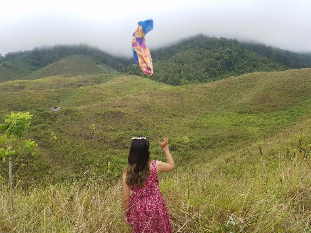 Teletubbies Hill景点图片