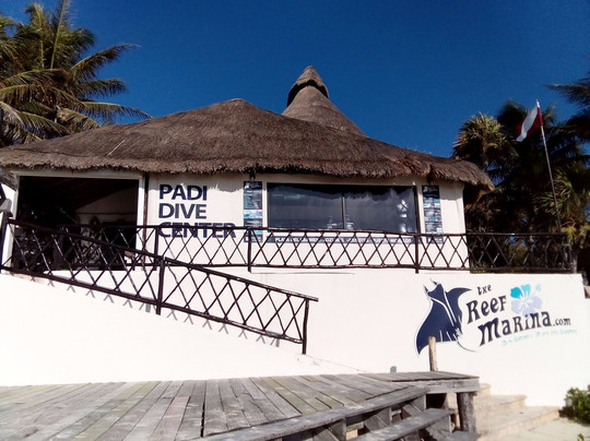 The Reef Marina-普拉亚德尔卡曼必去景点