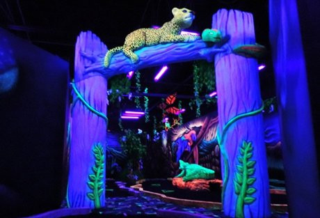 Shankz 3d Black Light Mini Golf And Pizza景点图片