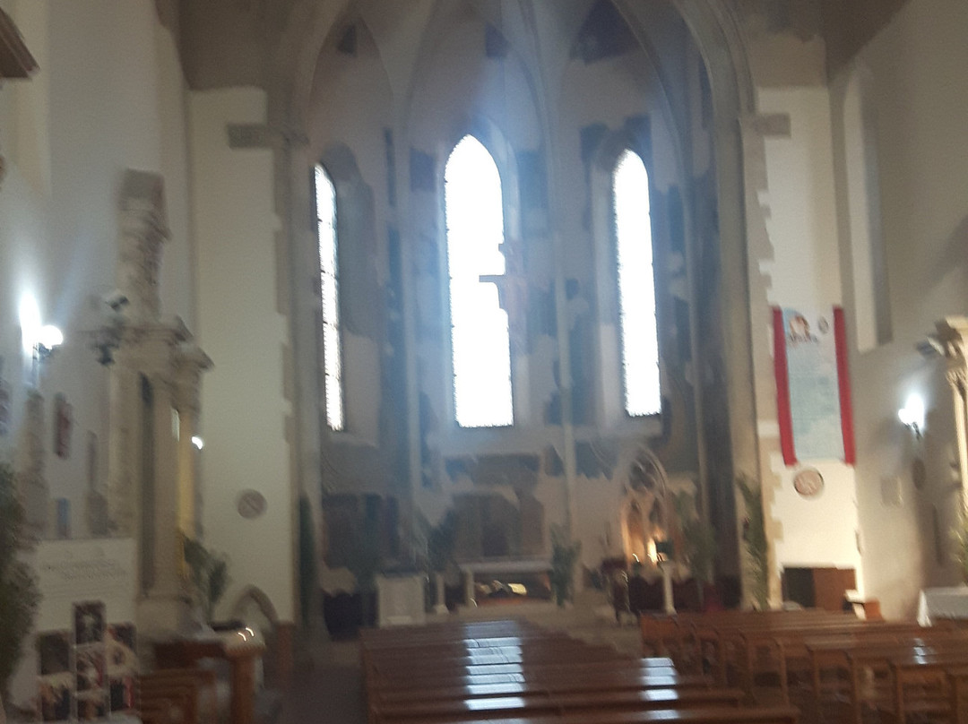 Basilica Santuario di San Francesco Antonio Fasani-Lucera必去景点