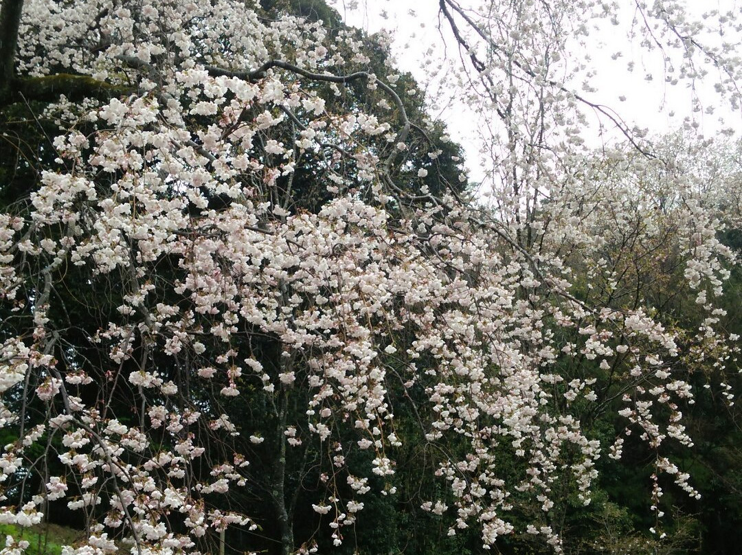 Tama Forest Science Garden-八王子市必去景点