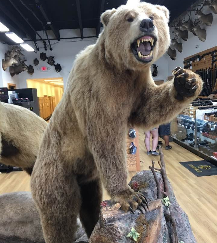 Shoot Straight-萨拉索塔必去景点