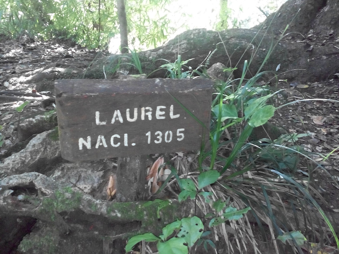 Reserva Forestal Edmundo Winkler-Frutillar必去景点