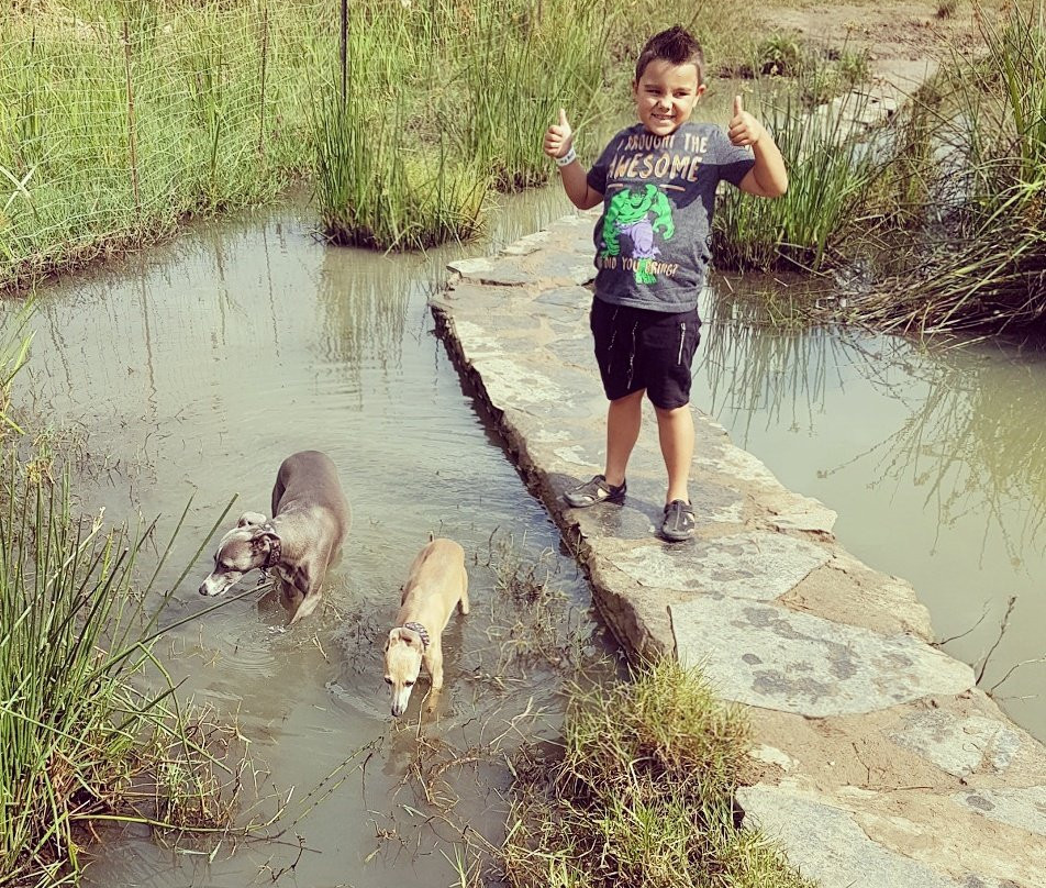 Walkhaven Dog Park-约翰内斯堡必去景点