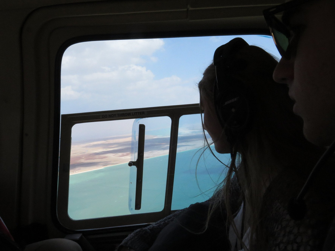 Wild - Trails Israel-Arad必去景点