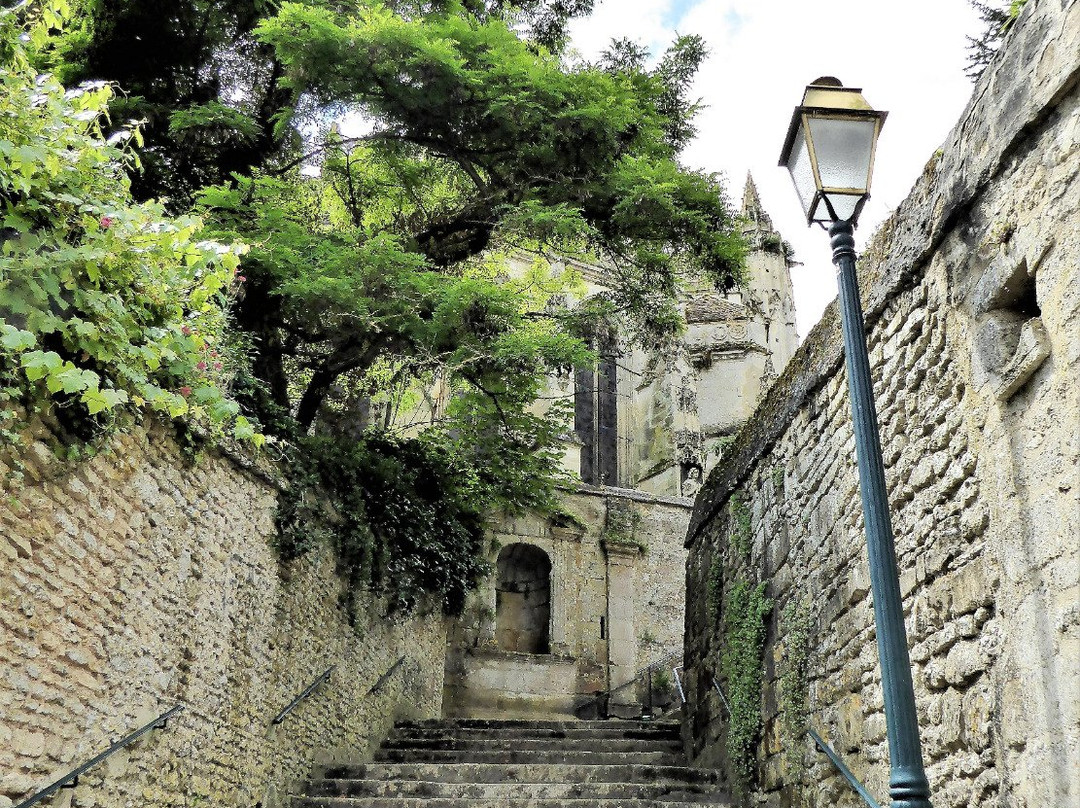 Eglise Saint Jean Baptiste景点图片