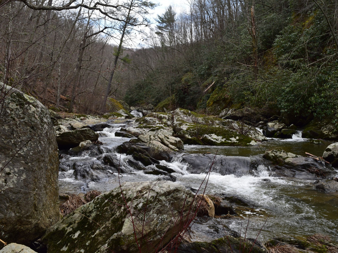 Bottom Creek Gorge-罗阿诺克必去景点