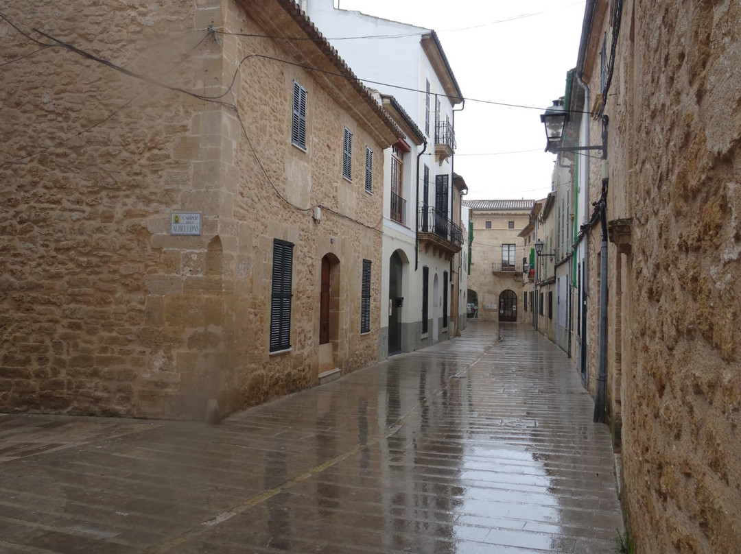 Fundacio Biblioteca d'Alcudia Can Torro-阿库迪亚必去景点