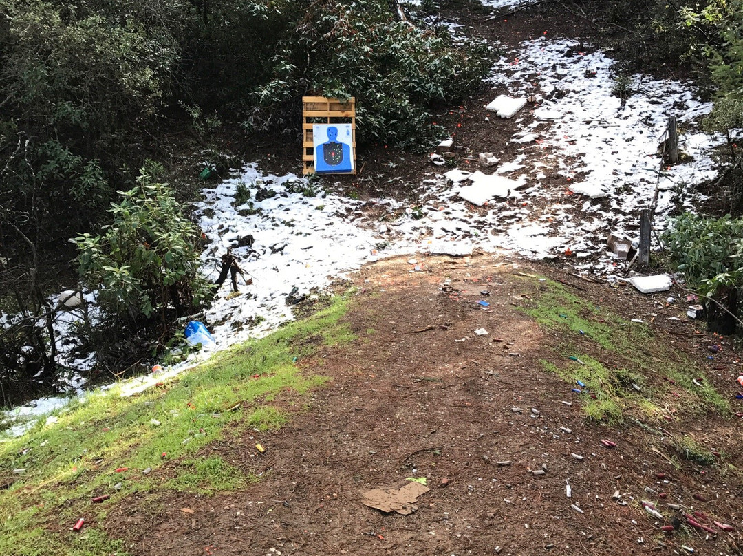 Cow Mountain Recreation Area景点图片