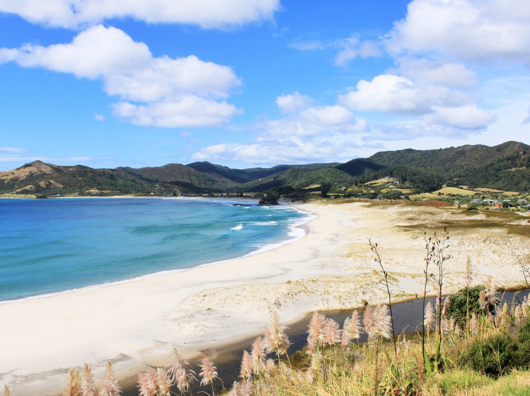 Medlands Beach Backpackers & Villas