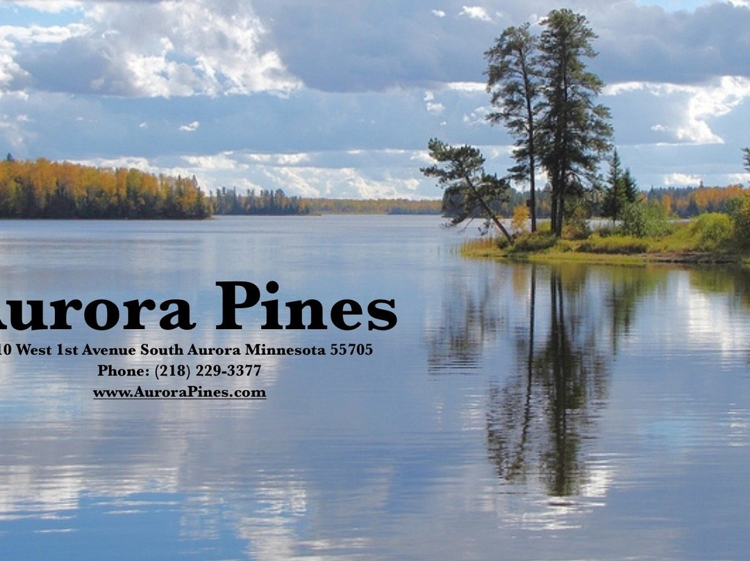 Aurora Pines Motel主图