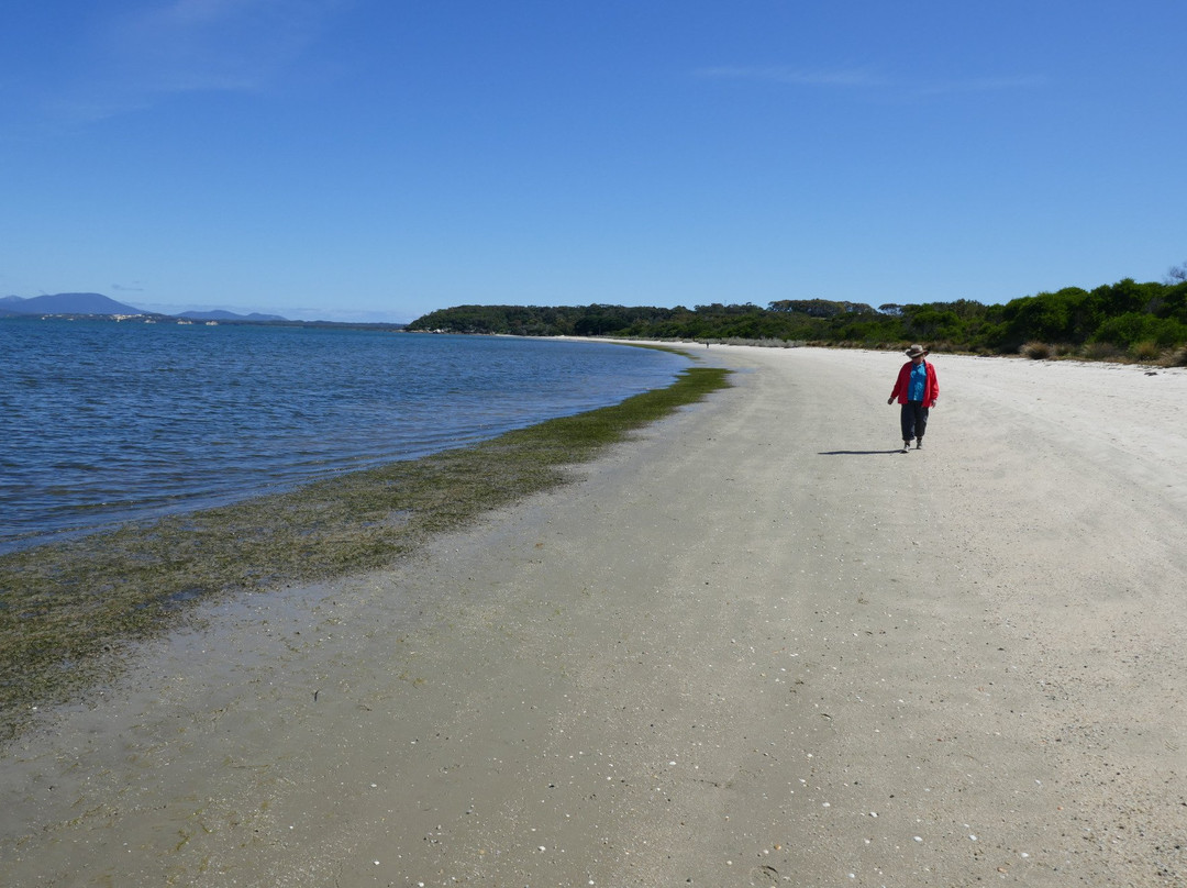 Yanakie/Duck Point Loop-Yanakie必去景点