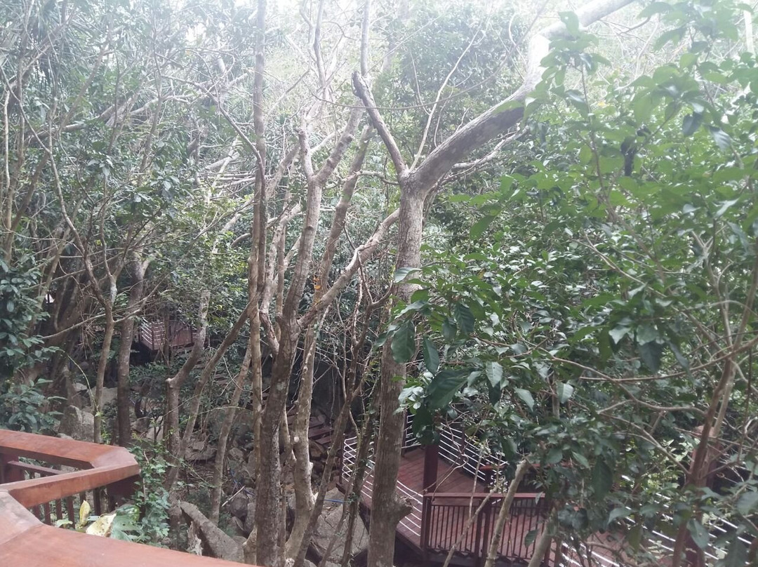 蝴蝶谷-三亚市必去景点