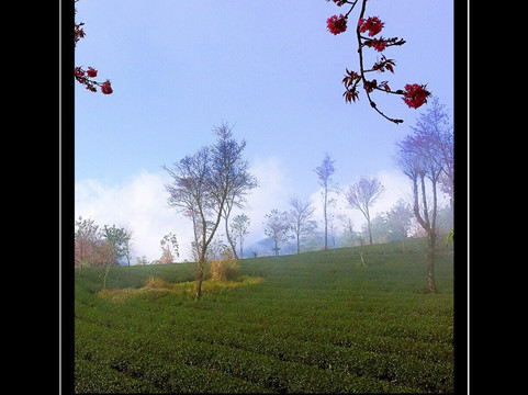 无量山-景东彝族自治县必去景点