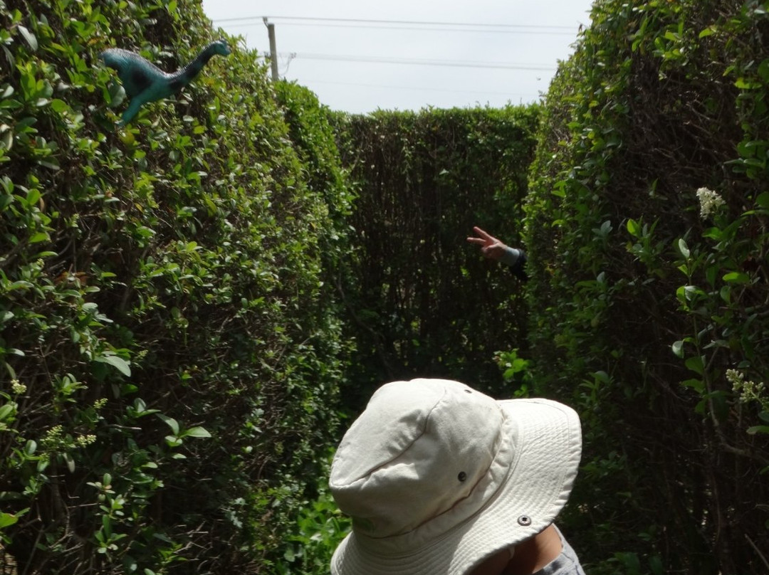 Westbury Maze & Cafe景点图片