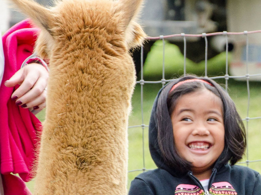 Fox Wire Farm Alpacas-Toano必去景点