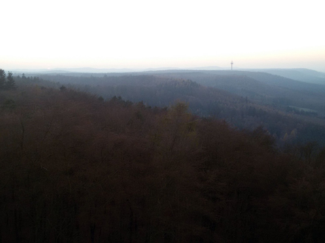 Humberg Tower景点图片