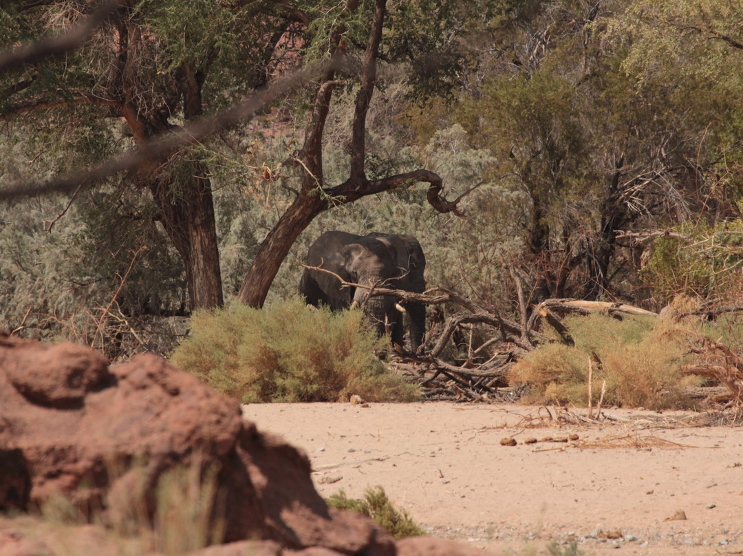 Ugab River-Khorixas必去景点