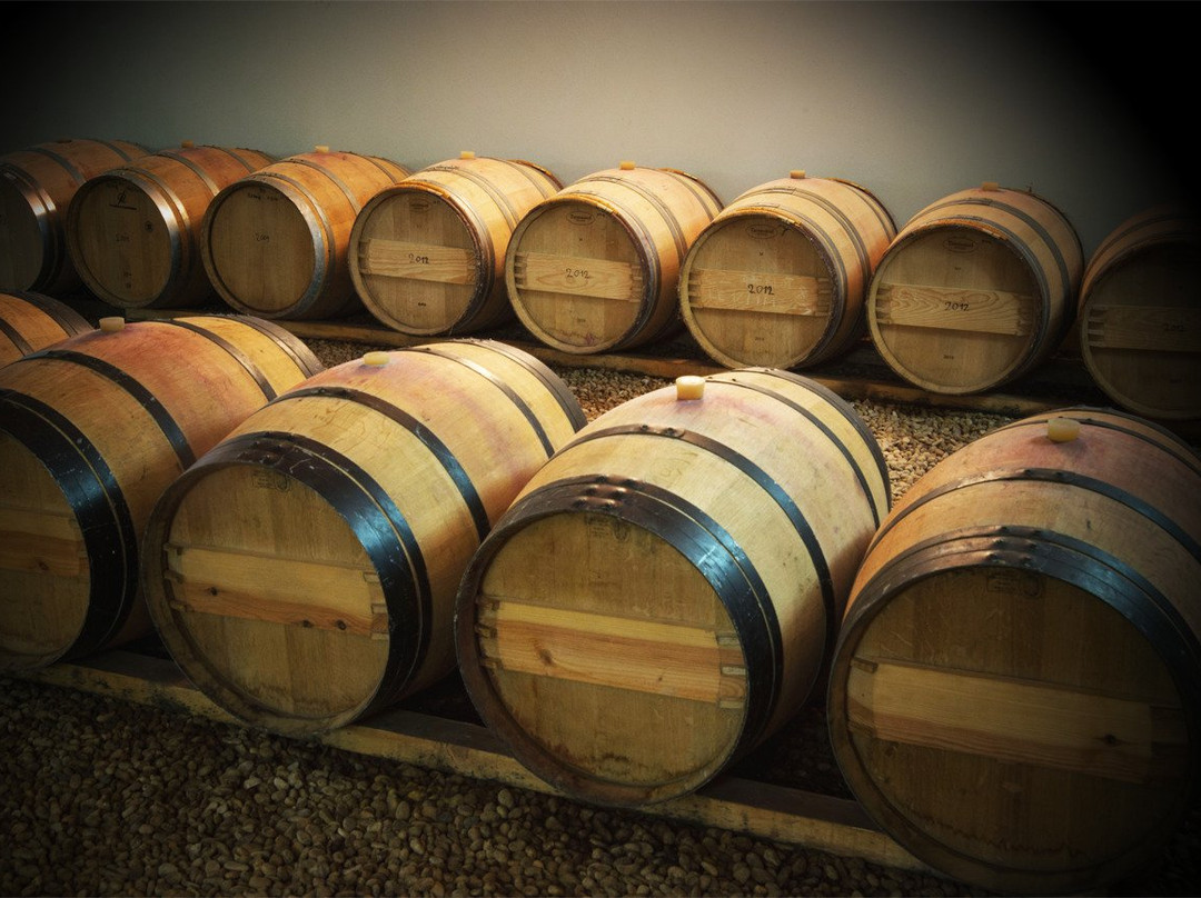 Domaine Massillan景点图片