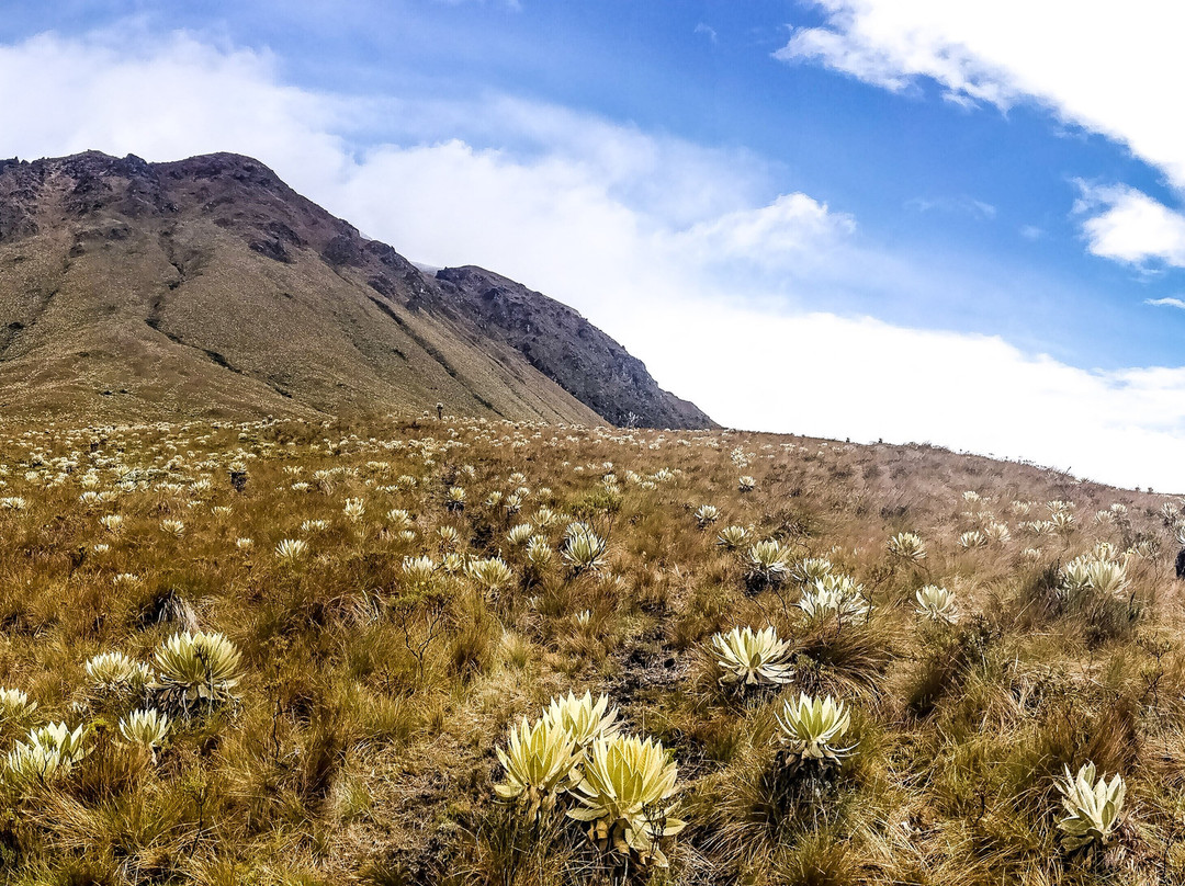 Volcan Sotara-Cauca Department必去景点