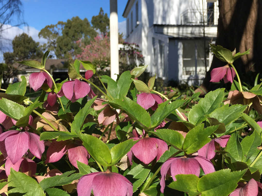 Boscobel of Tasmania主图