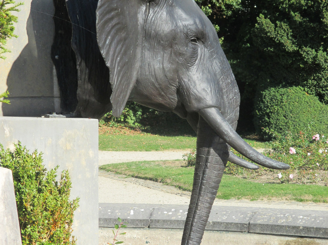 Royal Museum for Central Africa景点图片